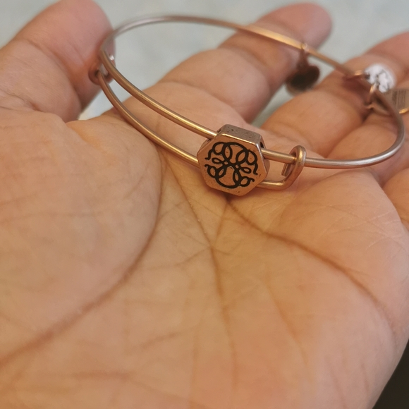 ‼️NIB‼️ Alex and Ani bracelet - Picture 2 of 3